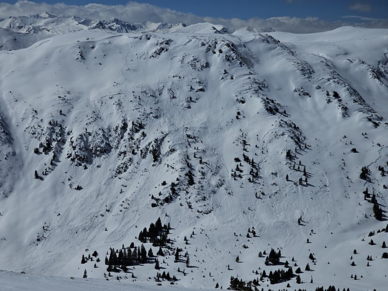 Observation photo 5