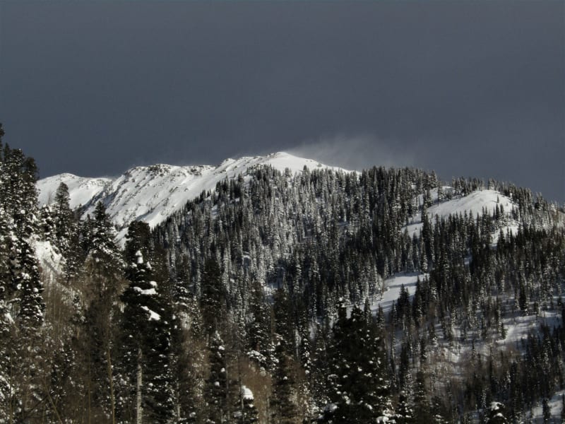 Observation photo 2