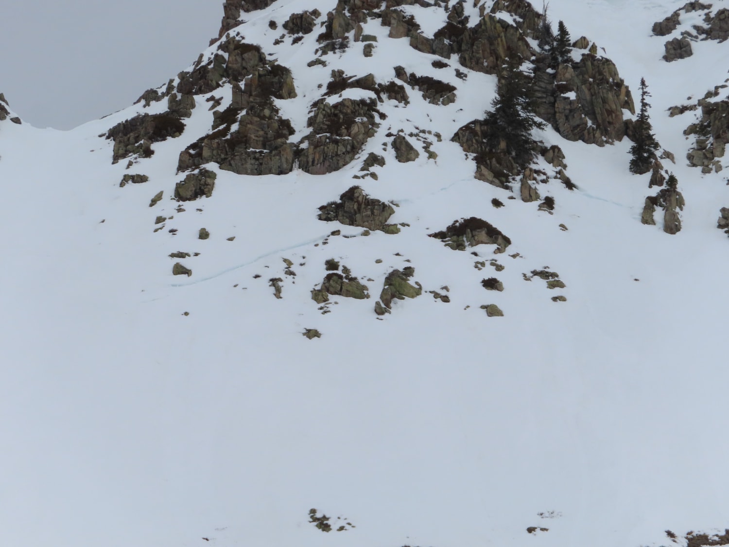 Observation photo