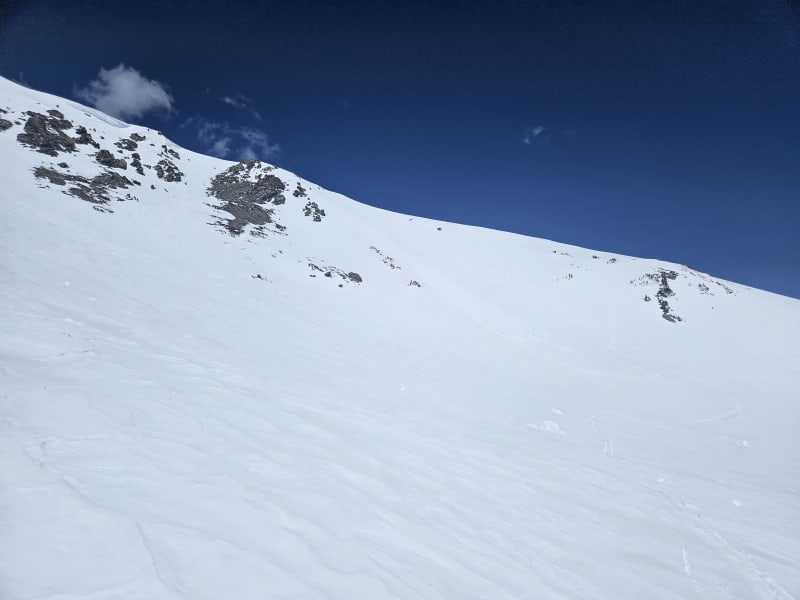 Observation photo 2