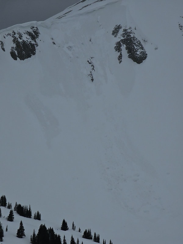 Observation photo 1