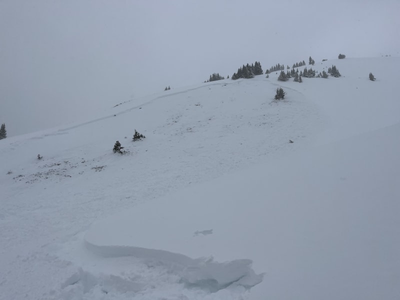 Observation photo 1