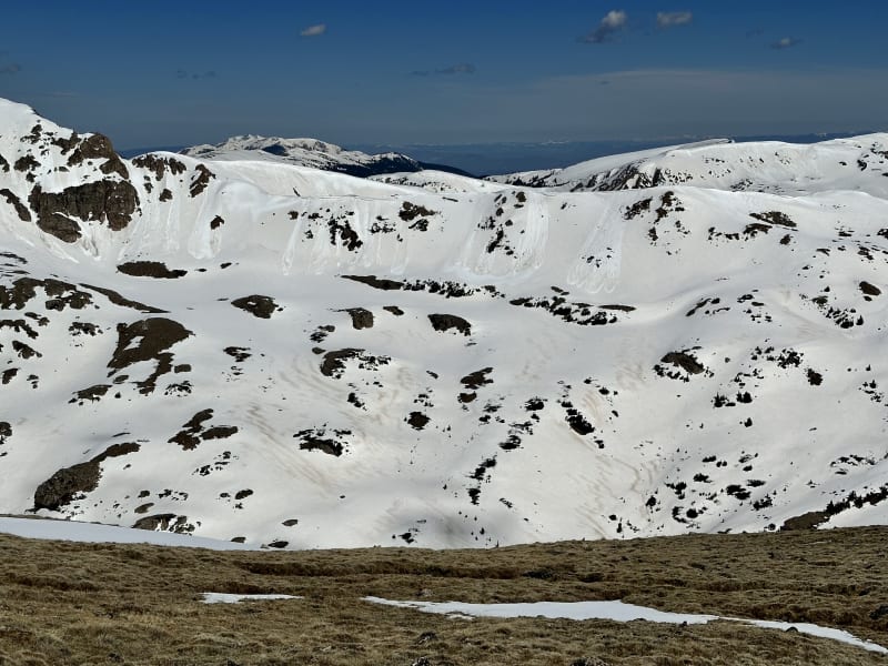 Observation photo 1