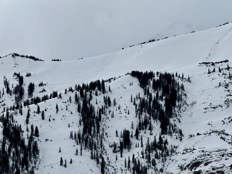 Observation photo 4