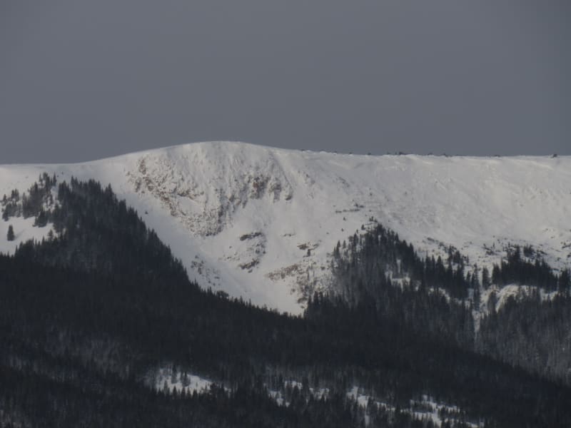 Observation photo 1