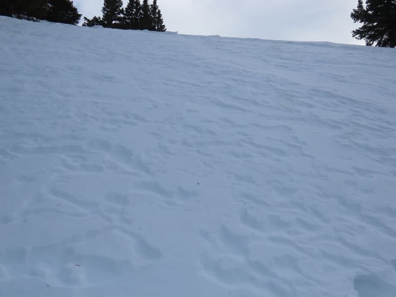 Observation photo 1
