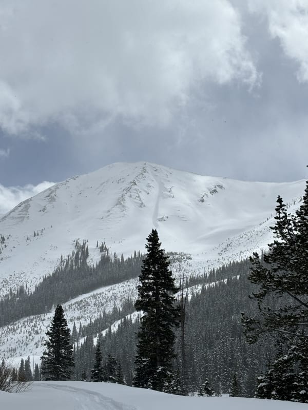 Observation photo 8