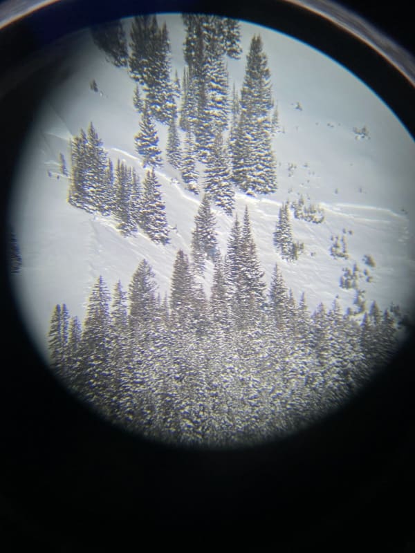 Observation photo 1