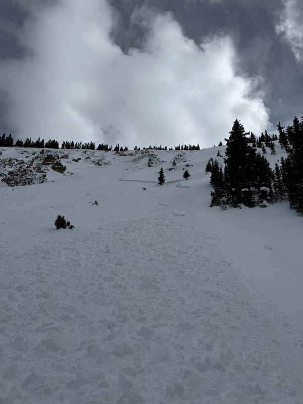 Observation photo 1