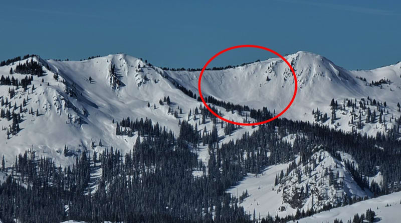 Observation photo 3