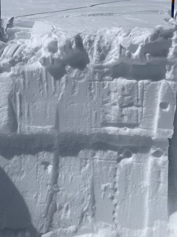 Observation photo 5