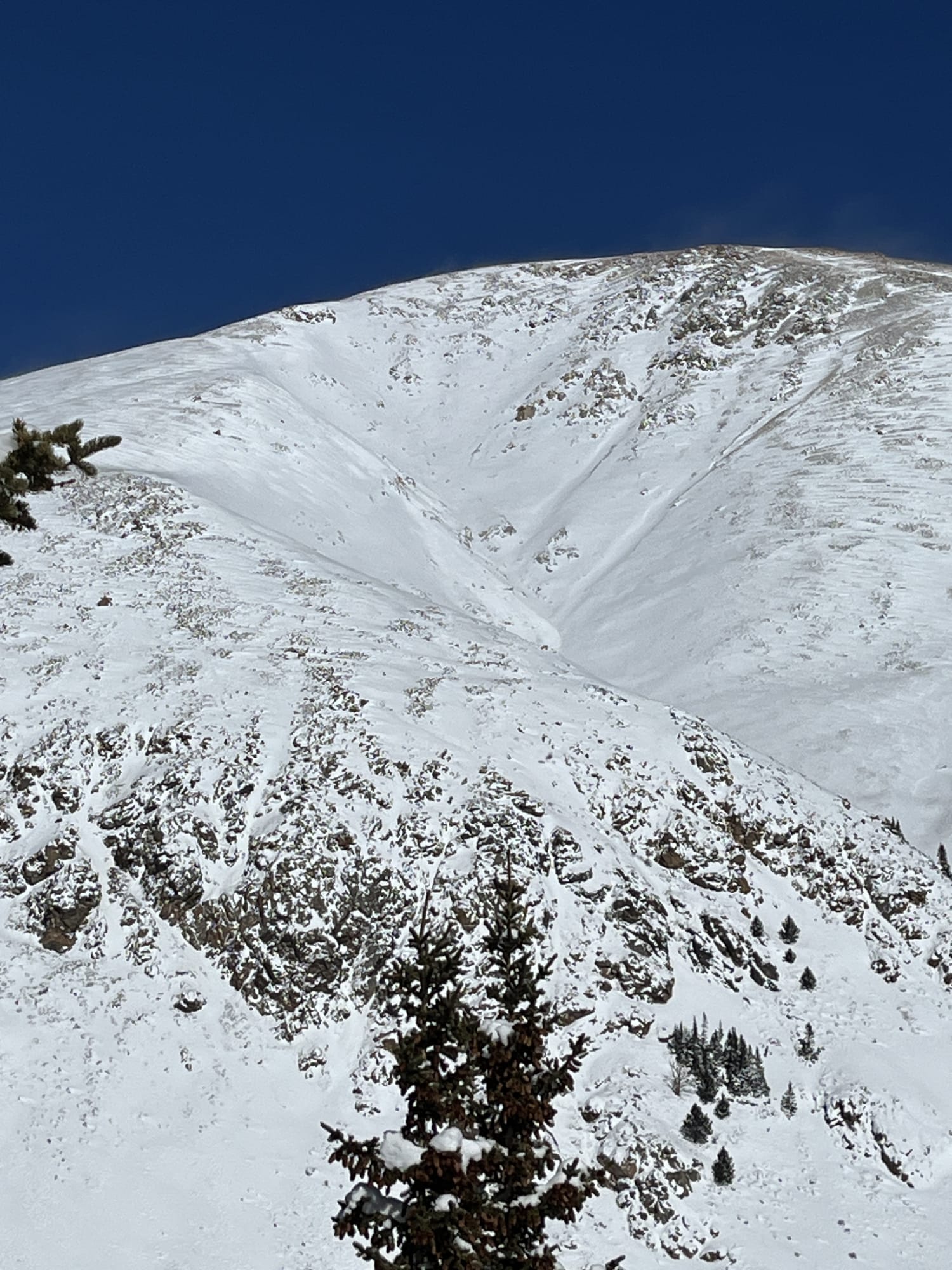 Observation photo