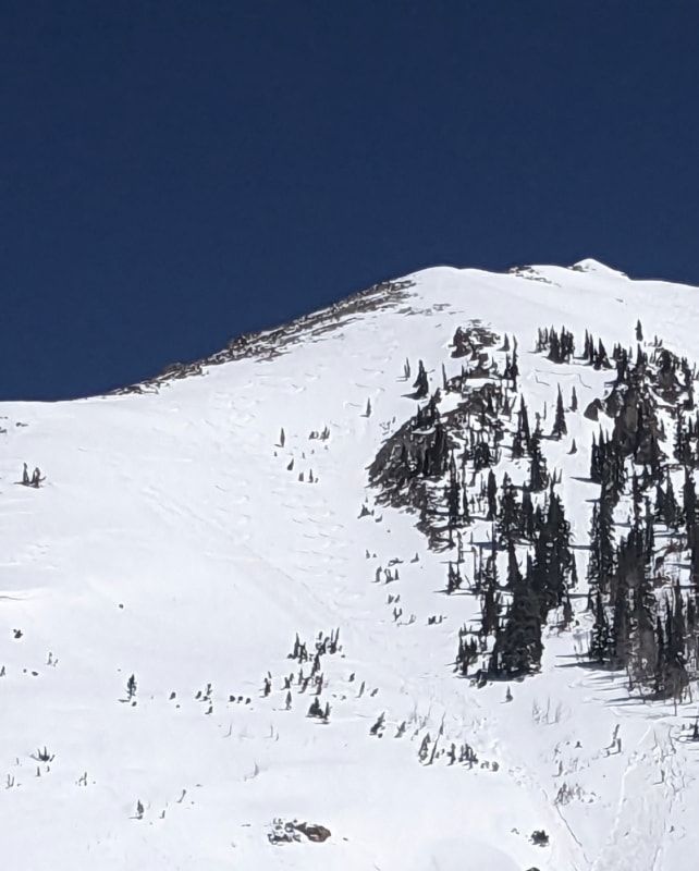 Observation photo 2