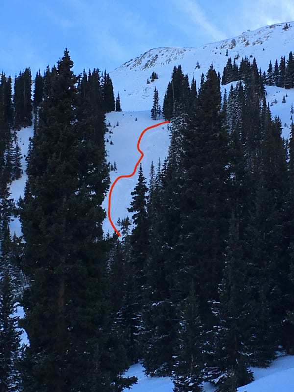 Observation photo 1