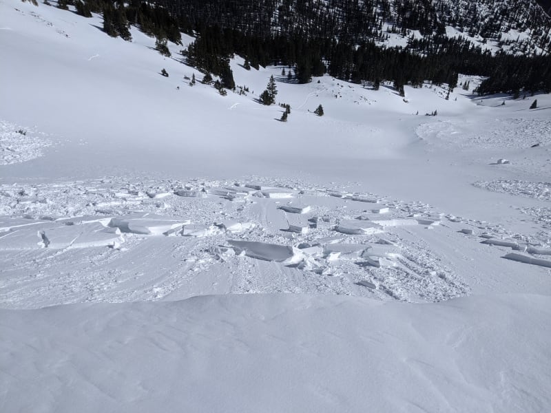 Observation photo 3