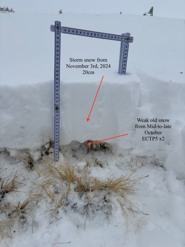Observation photo 1
