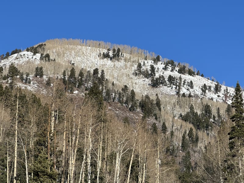 Observation photo 3