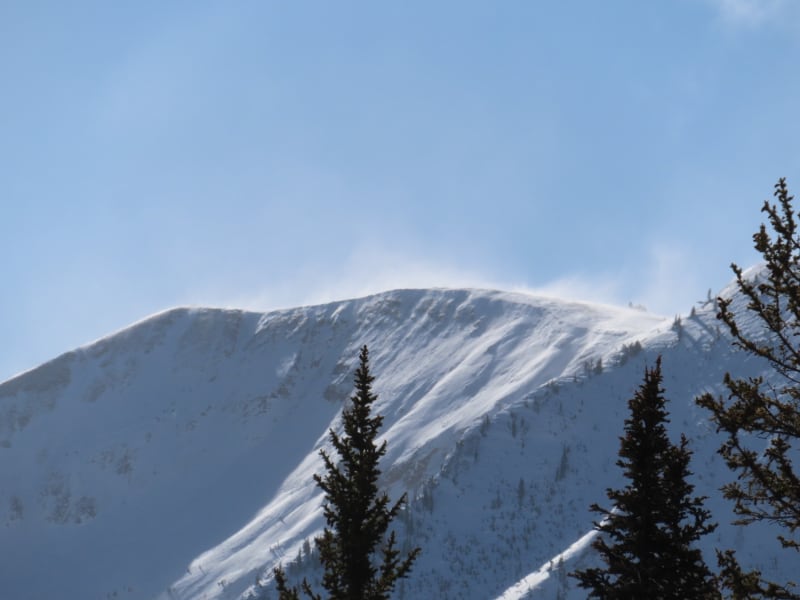 Observation photo 4