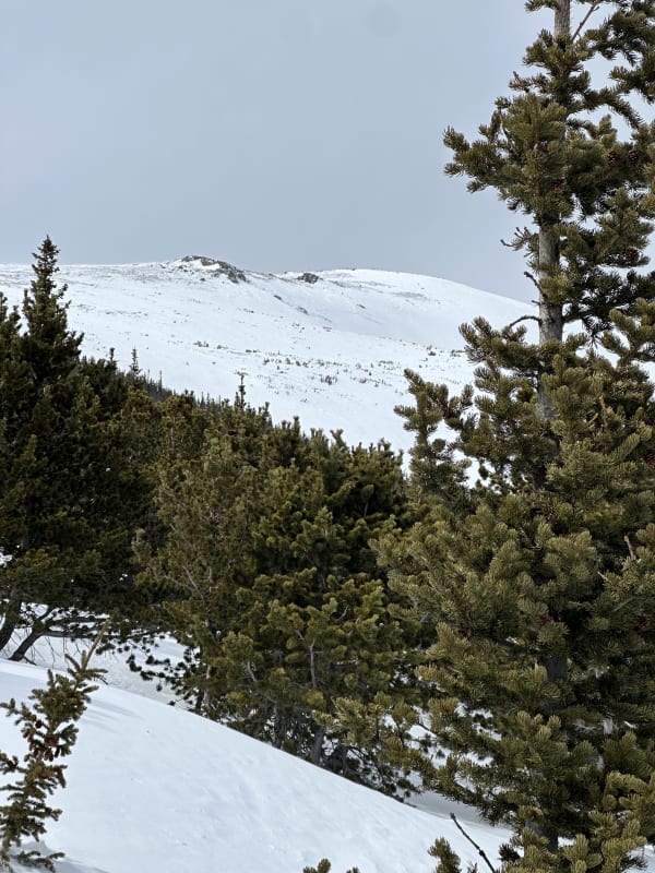 Observation photo 2