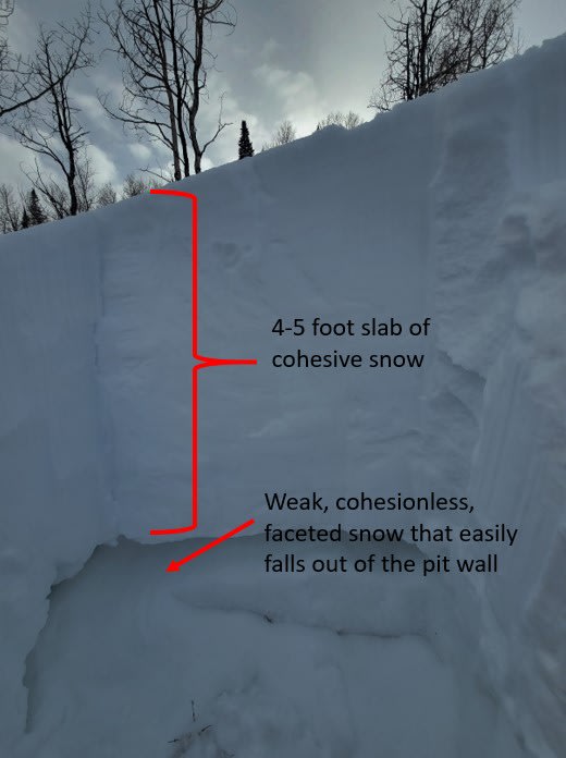 Observation photo 2