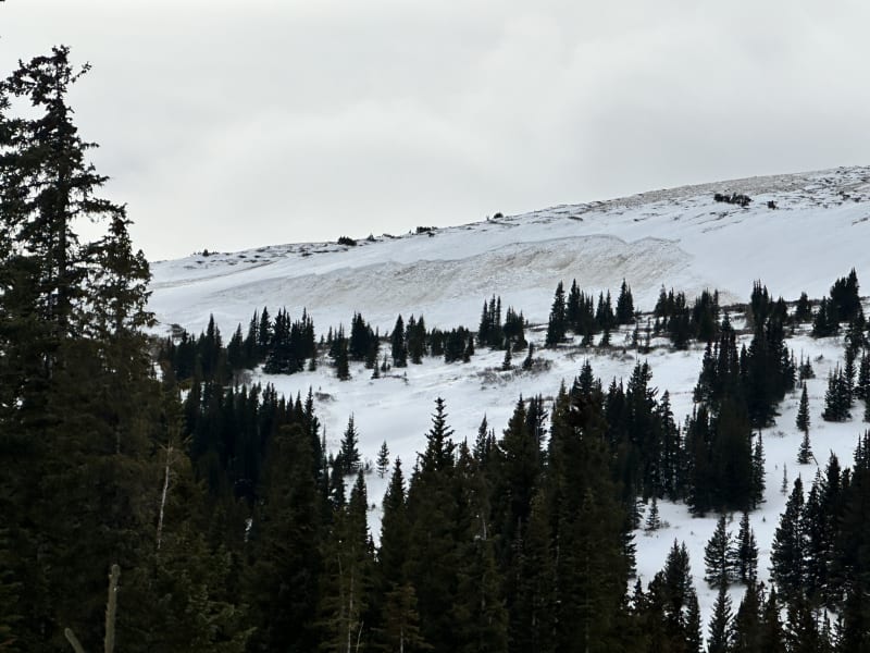 Observation photo 1