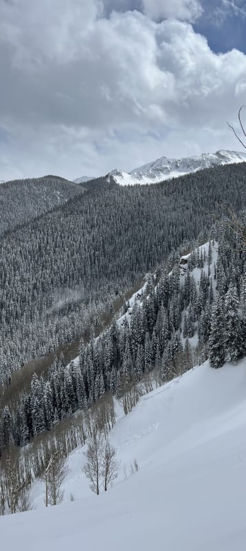 Observation photo 1