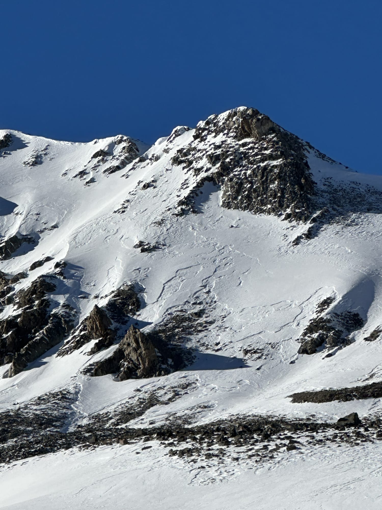 Observation photo