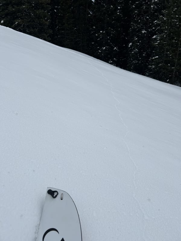Observation photo 1