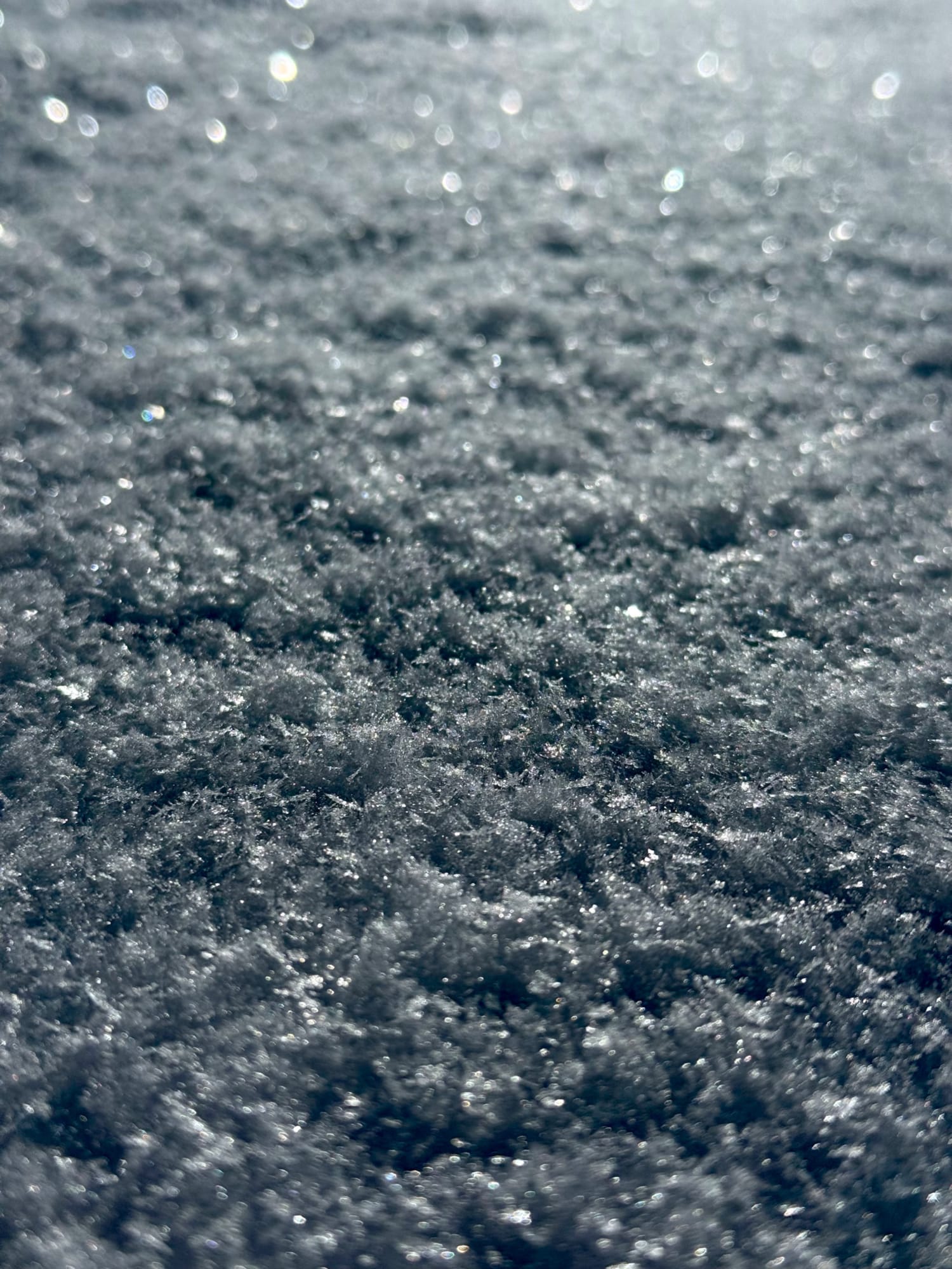 Observation photo