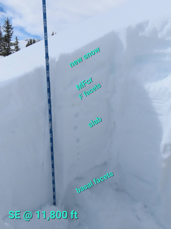 Observation photo 2