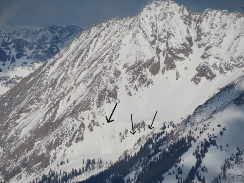 Observation photo 14