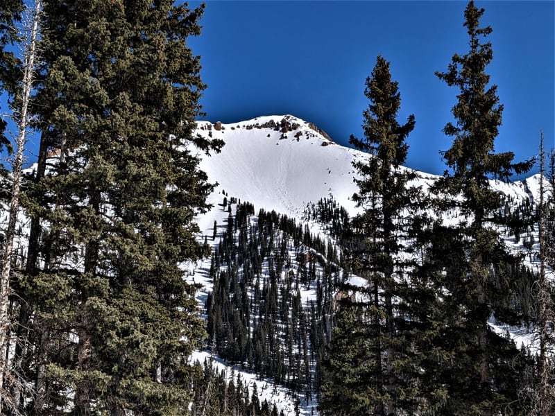 Observation photo 2