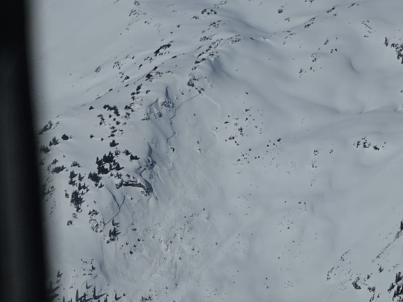 Observation photo 7
