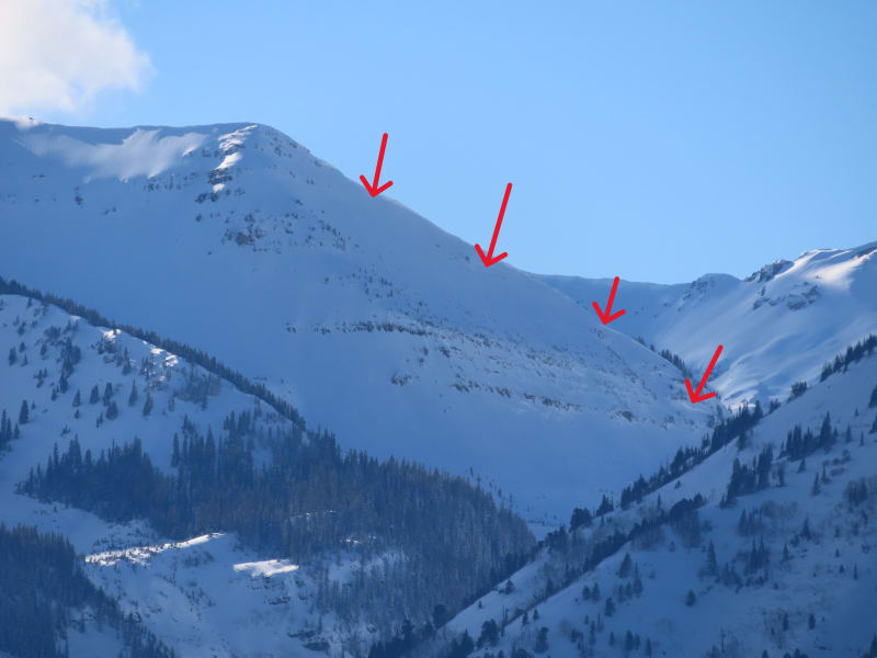 Observation photo 9