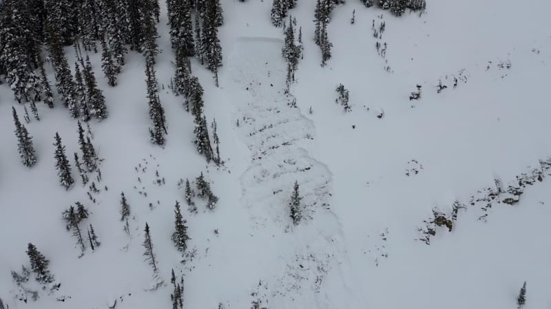 Observation photo 5
