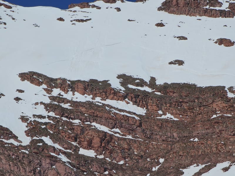 Observation photo 4