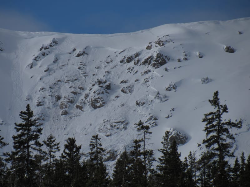 Observation photo 2
