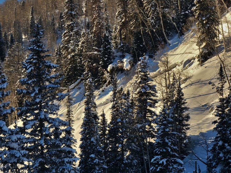 Observation photo 11