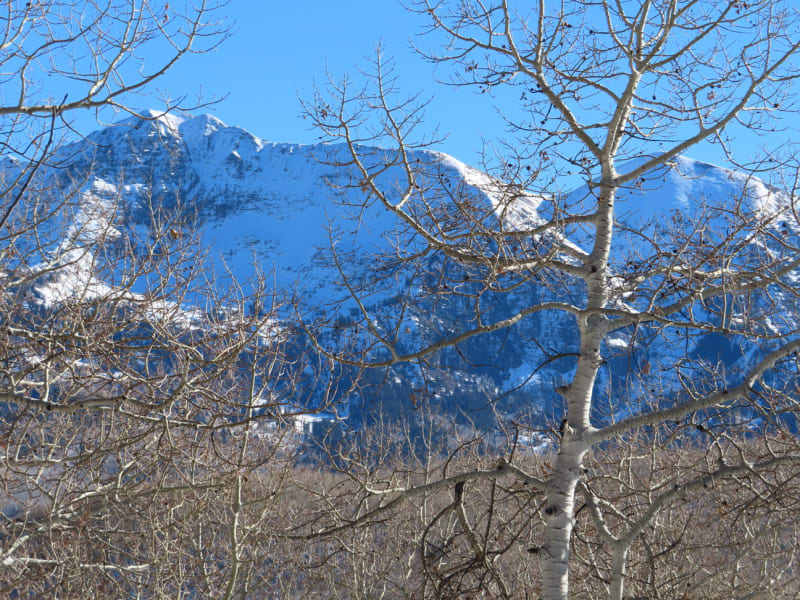 Observation photo 5