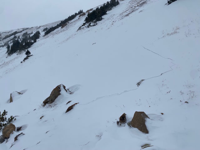 Observation photo 2