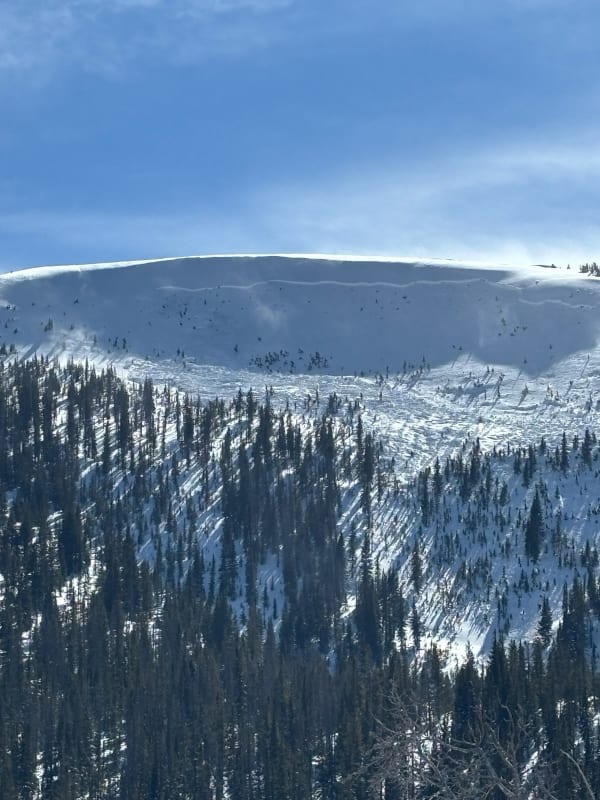 Observation photo 2