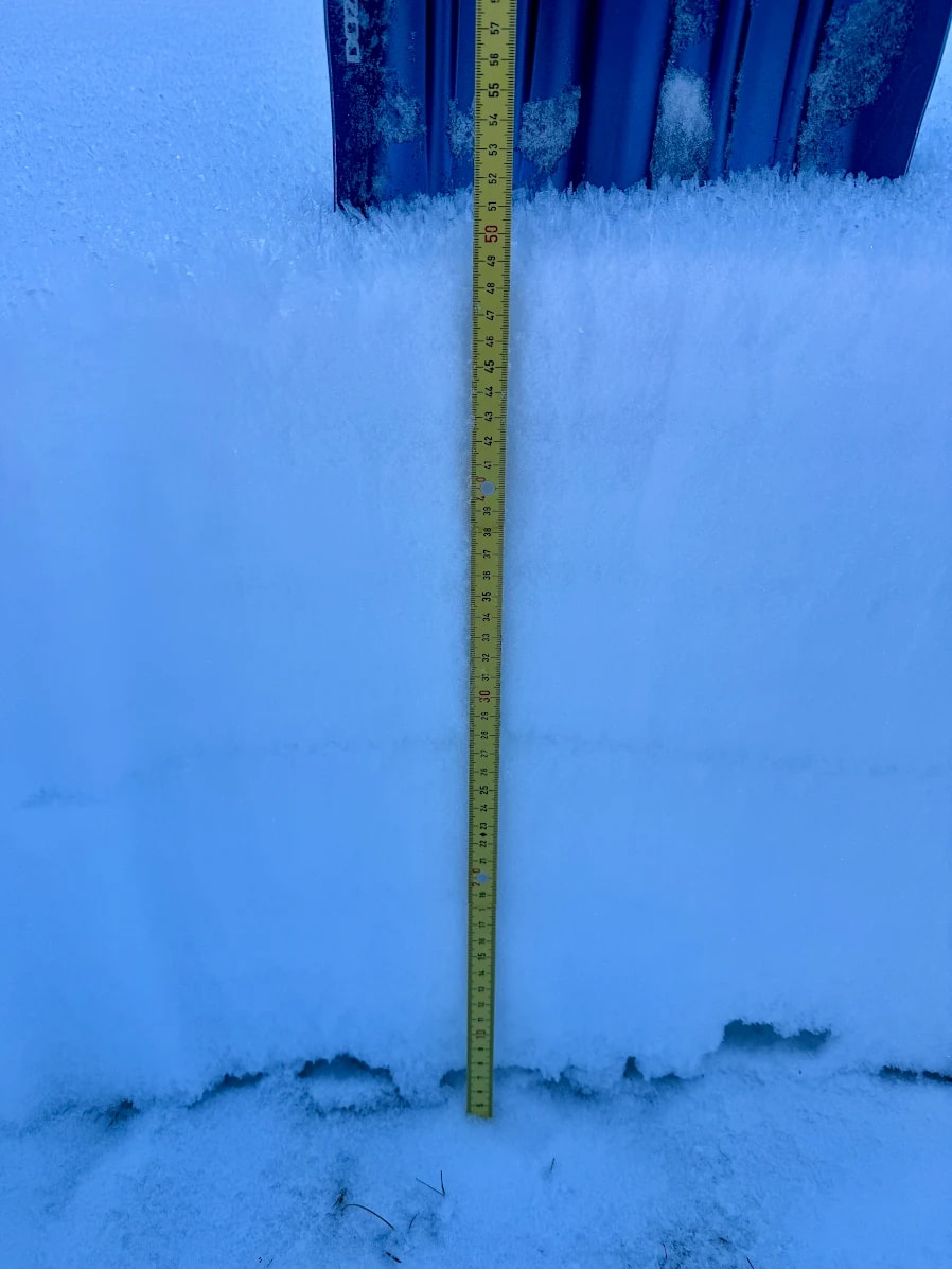 Observation photo