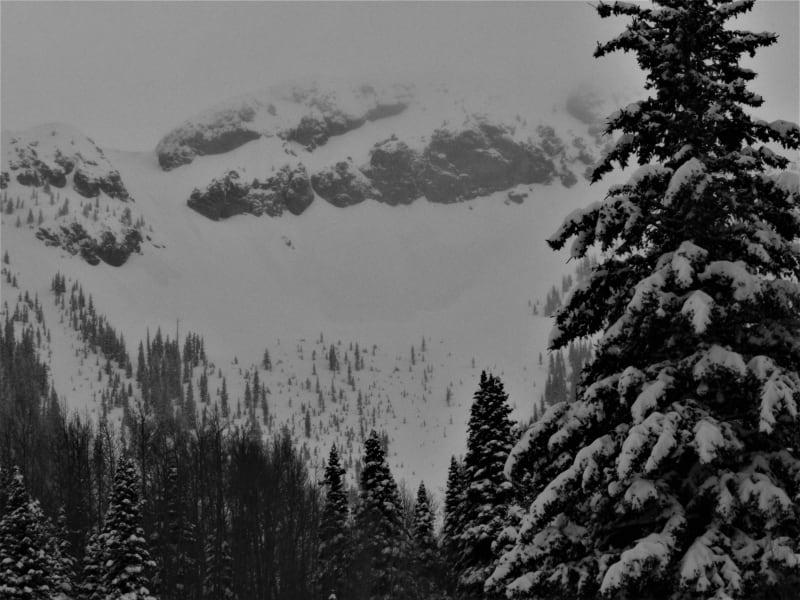 Observation photo 3