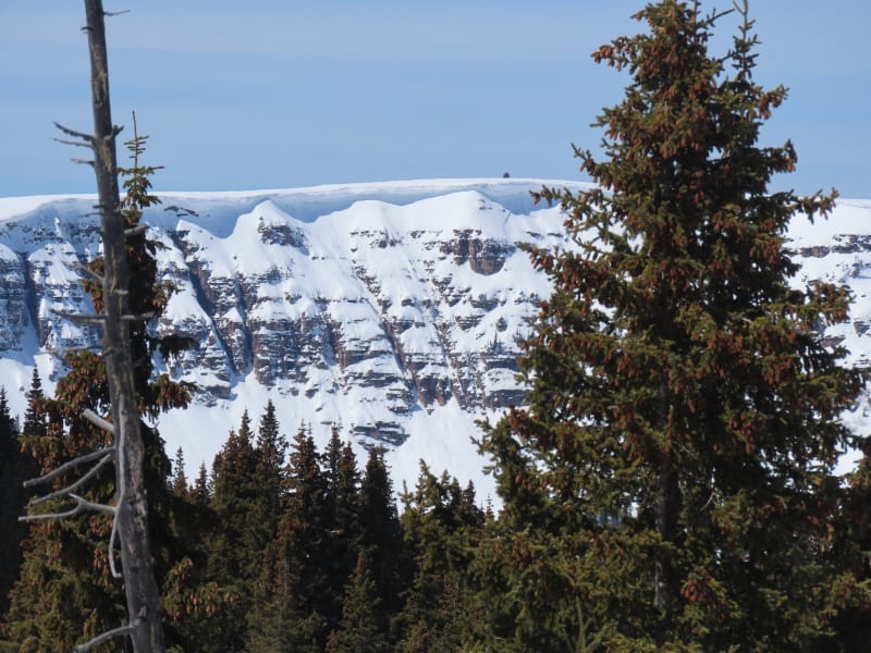 Observation photo 5