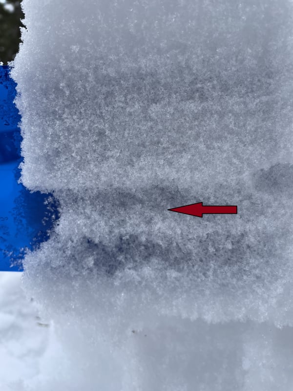 Observation photo 2