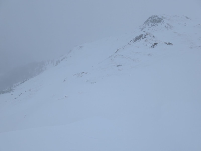 Observation photo 1