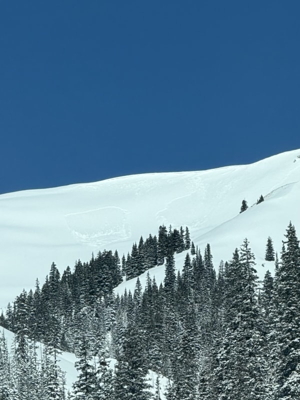 Observation photo 1