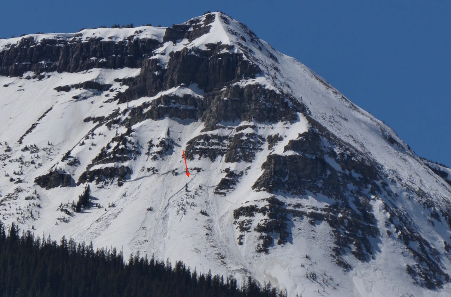 Observation photo