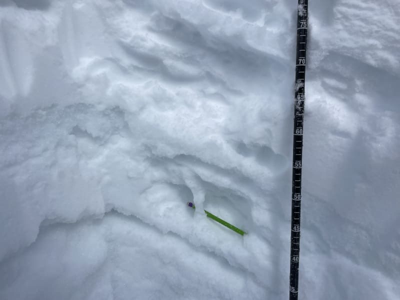 Observation photo 2