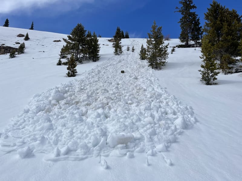 Observation photo 1